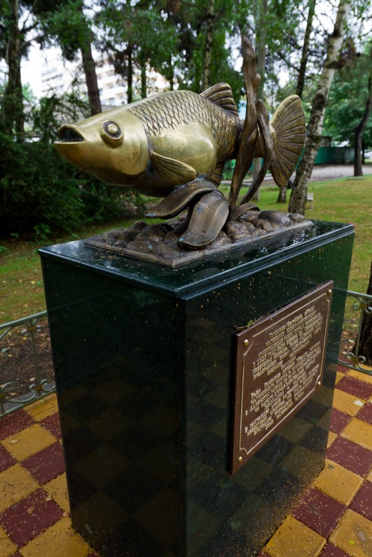 Памятник рыбке гамбузия