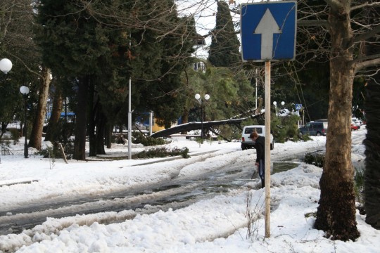 Снег в центре Адлера. 14 января 2008