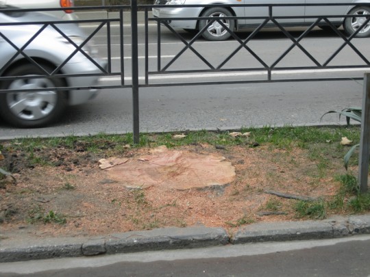 Адлерская делянка
