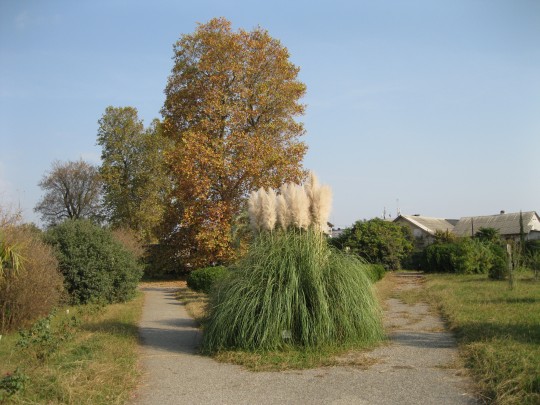 Южные Культуры. Парк